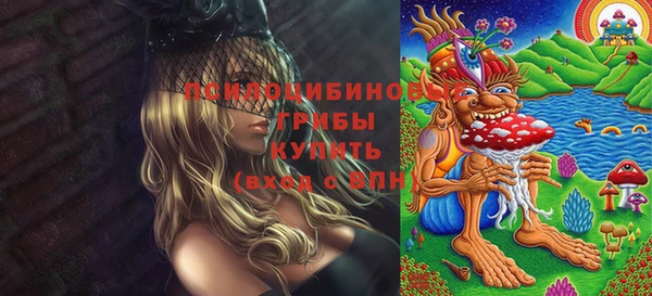 спиды Аркадак