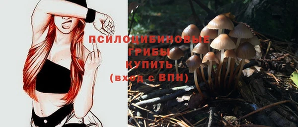 синтетический гашиш Арсеньев